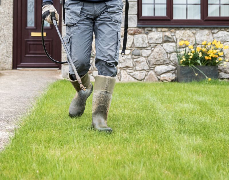 Spring Yard Maintenance