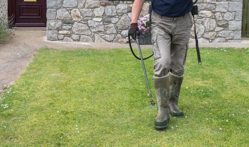 Spring Yard Maintenance