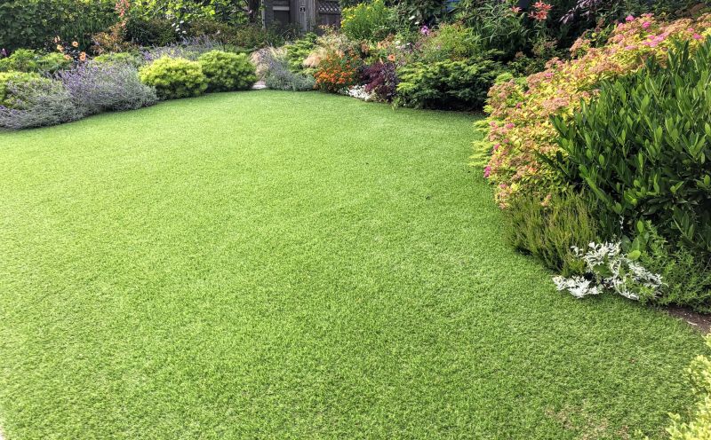 Completed Yard with Lush Grass
