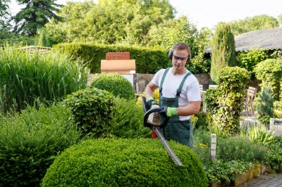 Pruning Trees and Shrubs