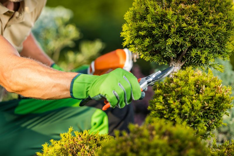 Landscaping Services